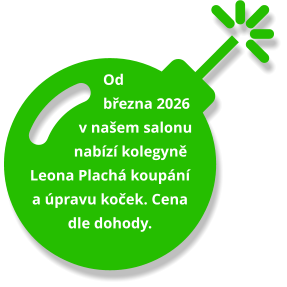 Od března 2026 v našem salonu nabízí kolegyně Leona Plachá koupání  a úpravu koček. Cena dle dohody.